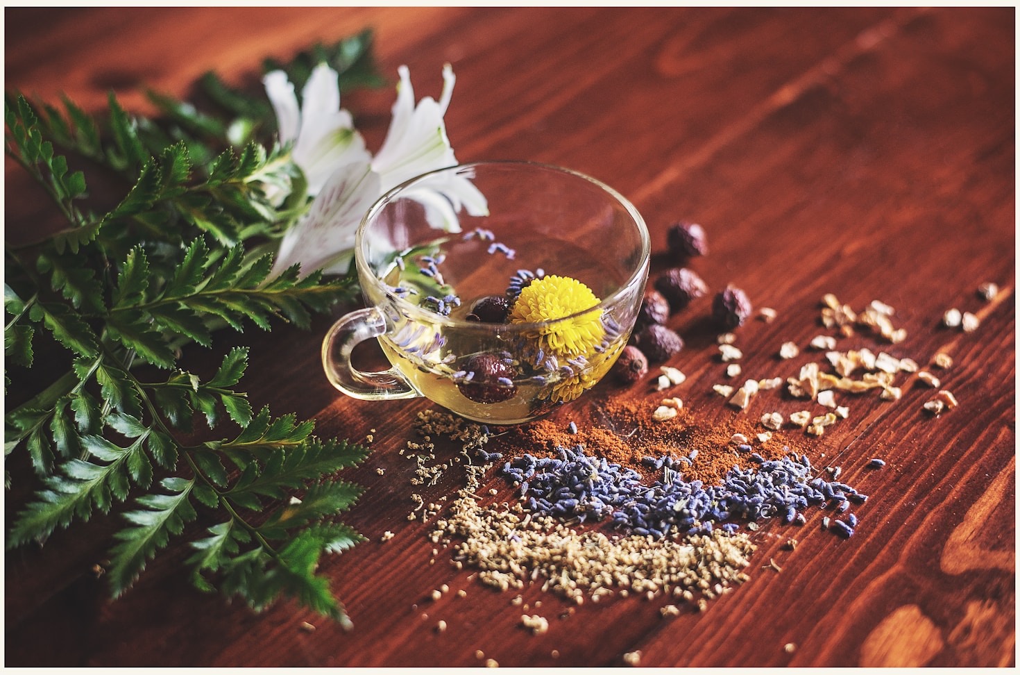 Ayurveda als Schlüssel zu innerem Frieden
